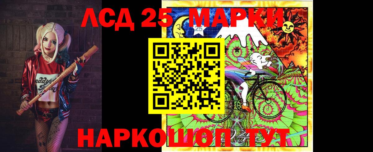 Новороссийск  Лсд 25 экстази  Вход с VPN  ЛСД экстази кислота  ЛСД экстази кислота 