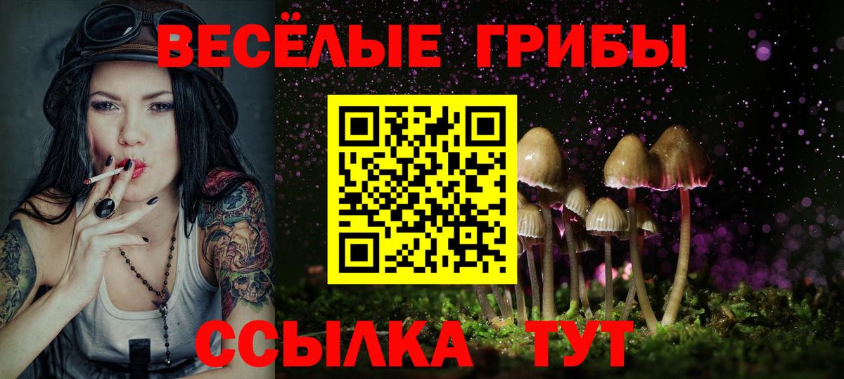 Псилоцибиновые грибы GOLDEN TEACHER  Вход с VPN  Новороссийск  Галлюциногенные грибы мухоморы 